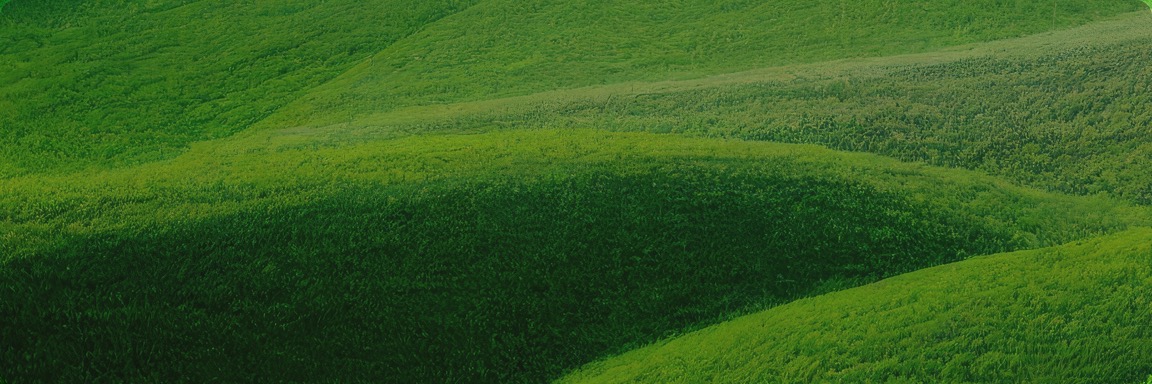 �Ϲ����֡�NG28(�й�)�ٷ���վ